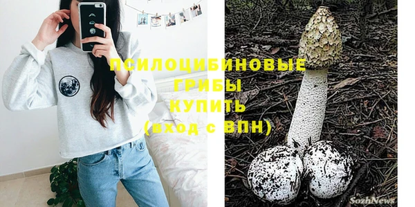 хмурый Алексеевка