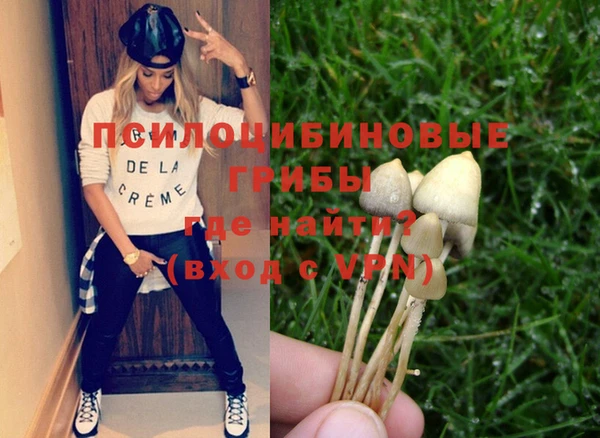 хмурый Алексеевка