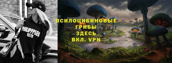 хмурый Алексеевка