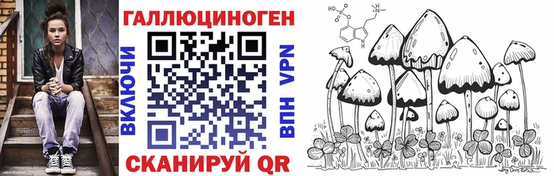 Галлюциногенные грибы Cubensis  Узловая 